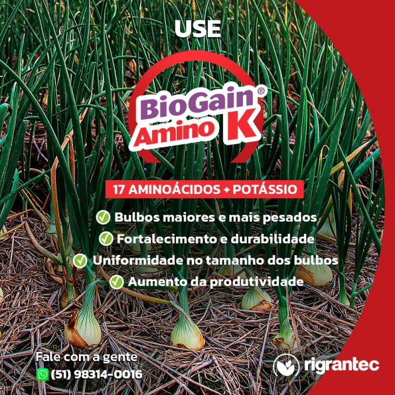 BioGain Amino K - Fertilizante para enchimento de grãos e frutos à base de aminoácidos aditivados com potássio