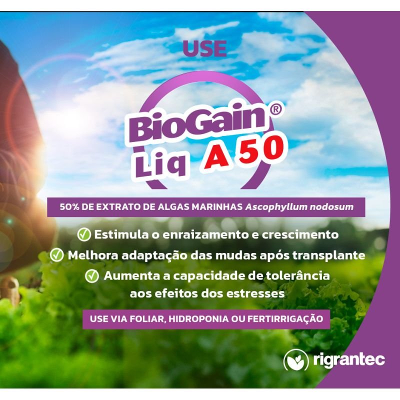 BioGain Liq A 50 - Fertilizante líquido à base de algas 100% Ascophyllum Nodosum com forte ação bioestimulante