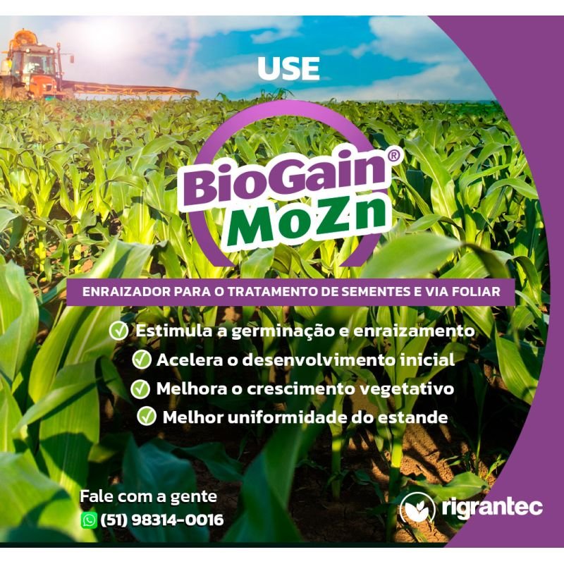 BioGain Mo Zn - Fertilizante foliar ou via semente à base de extrato de algas com Mo e Zn quelatizados