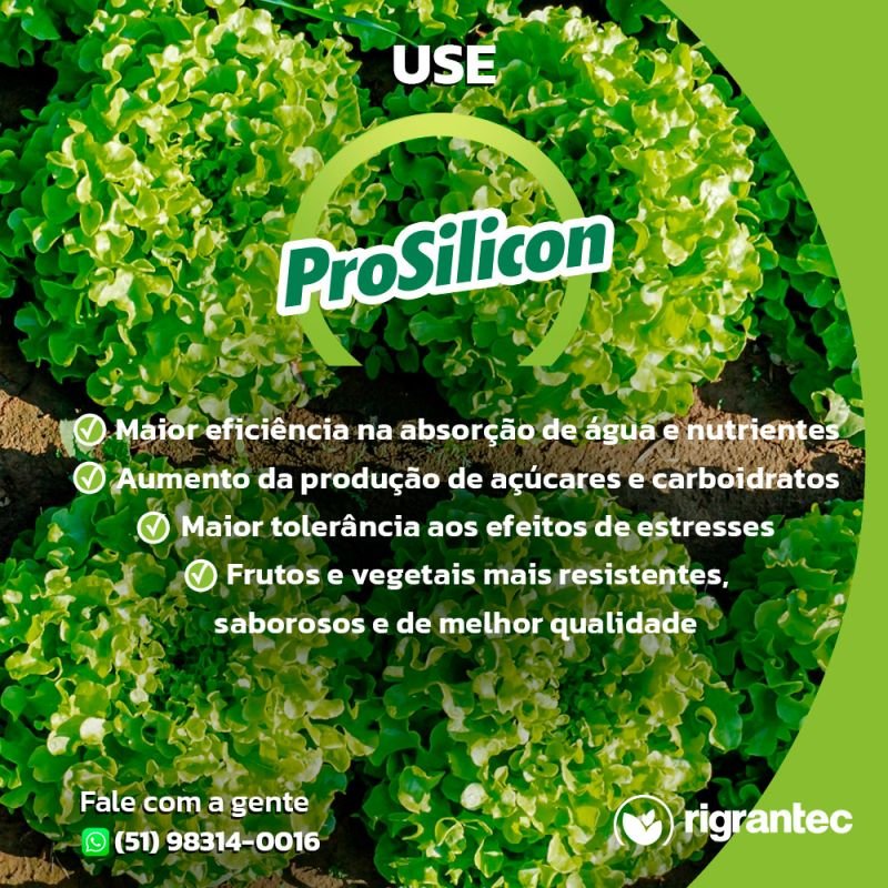 ProSilicon - Fertilizante a base de silicato de potássio com 10% de Silício